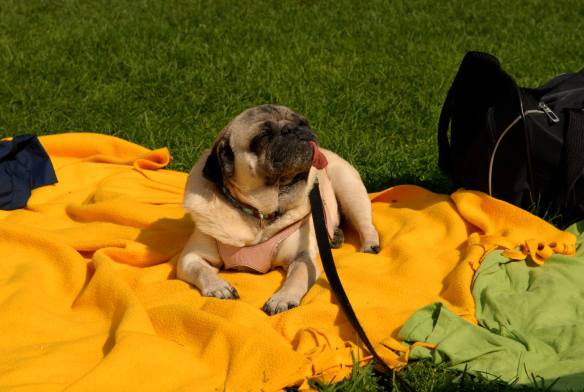 1410792_10201773201145672_1092475997_o