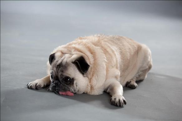 202185_4239688264381_2083941327_o