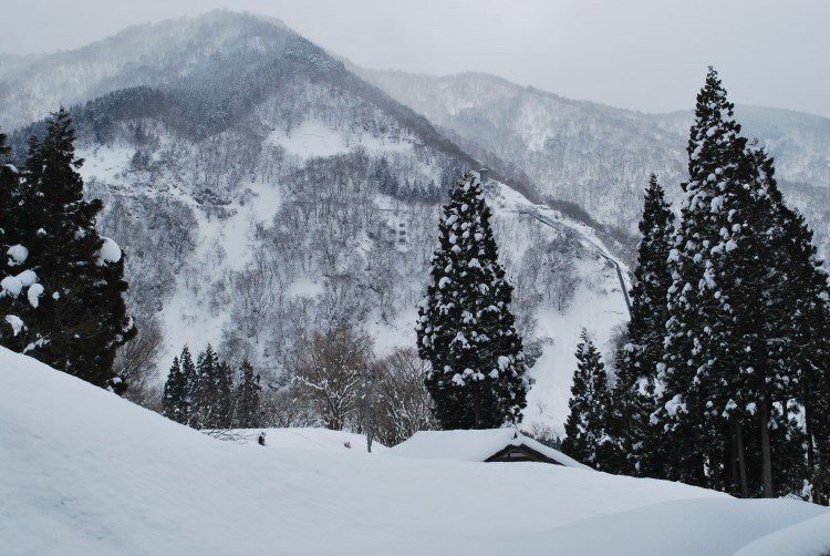 dsc_3493-e1417691403176