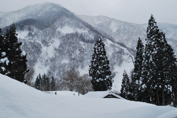 dsc_3493-e1417691403176