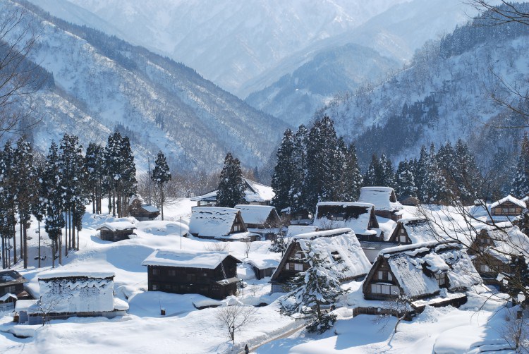 dsc_3543-e1417669026440