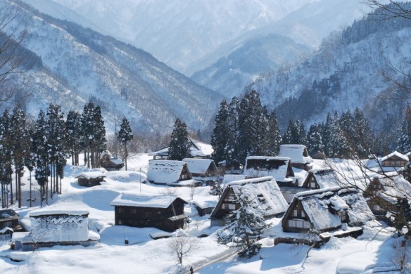 dsc_3543-e1417669026440